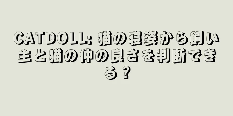 CATDOLL: 猫の寝姿から飼い主と猫の仲の良さを判断できる？