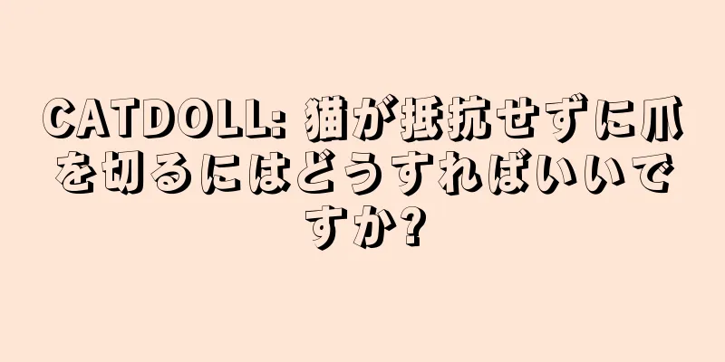 CATDOLL: 猫が抵抗せずに爪を切るにはどうすればいいですか?
