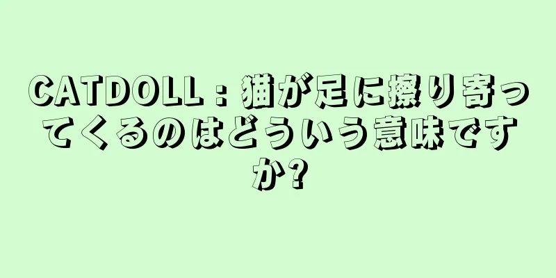 CATDOLL : 猫が足に擦り寄ってくるのはどういう意味ですか?