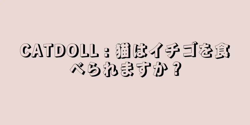 CATDOLL : 猫はイチゴを食べられますか？