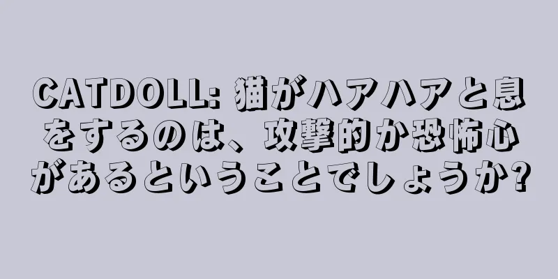 CATDOLL: 猫がハアハアと息をするのは、攻撃的か恐怖心があるということでしょうか?