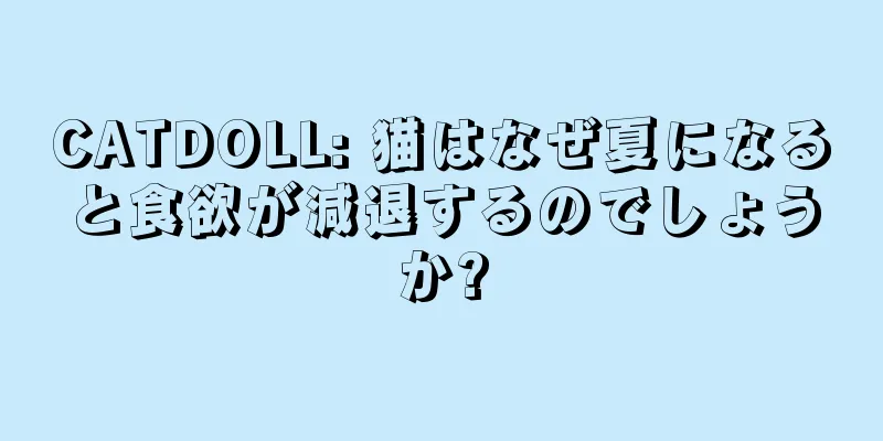 CATDOLL: 猫はなぜ夏になると食欲が減退するのでしょうか?