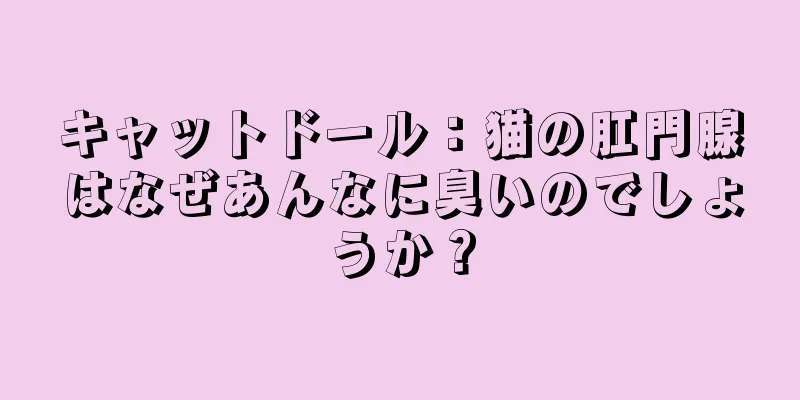 キャットドール：猫の肛門腺はなぜあんなに臭いのでしょうか？