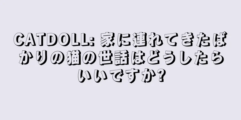 CATDOLL: 家に連れてきたばかりの猫の世話はどうしたらいいですか?