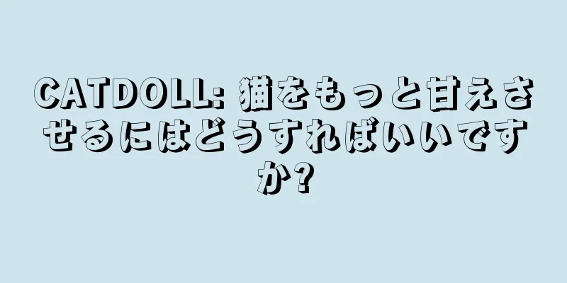 CATDOLL: 猫をもっと甘えさせるにはどうすればいいですか?