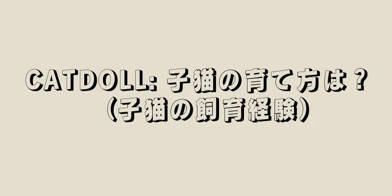 CATDOLL: 子猫の育て方は？ （子猫の飼育経験）