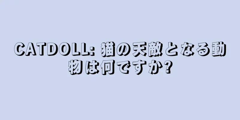 CATDOLL: 猫の天敵となる動物は何ですか?