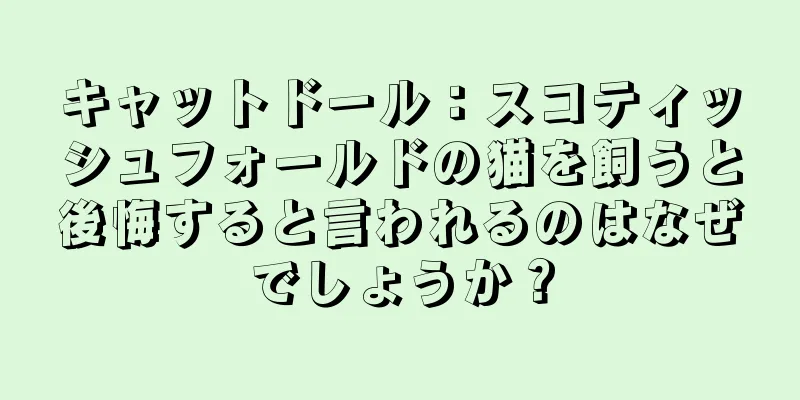 キャットドール：スコティッシュフォールドの猫を飼うと後悔すると言われるのはなぜでしょうか？