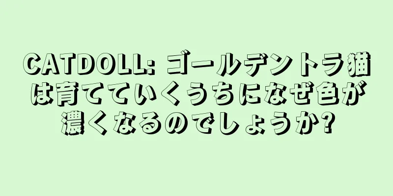 CATDOLL: ゴールデントラ猫は育てていくうちになぜ色が濃くなるのでしょうか?