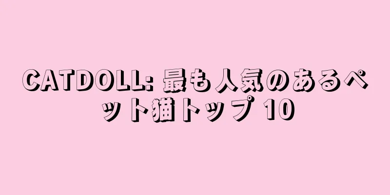 CATDOLL: 最も人気のあるペット猫トップ 10