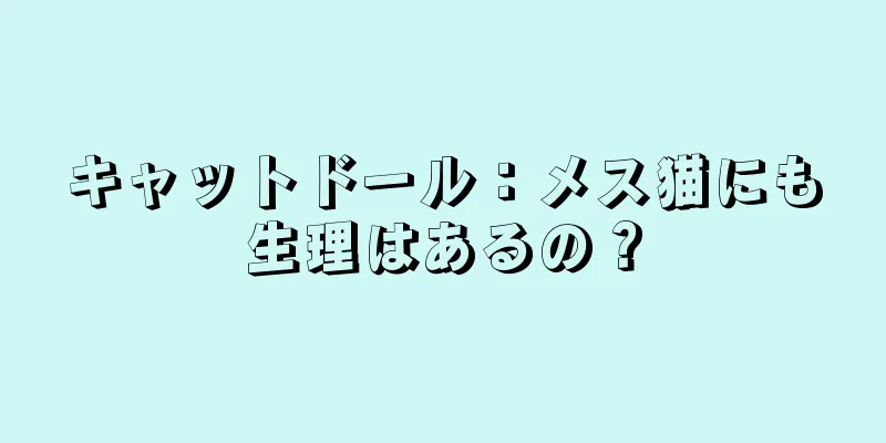キャットドール：メス猫にも生理はあるの？