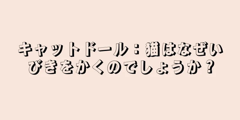 キャットドール：猫はなぜいびきをかくのでしょうか？