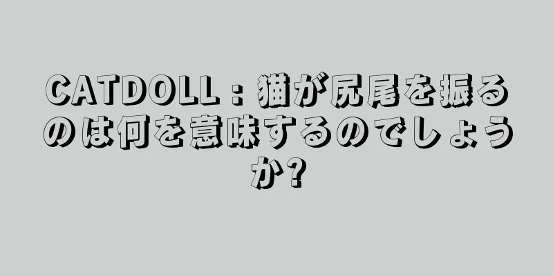 CATDOLL : 猫が尻尾を振るのは何を意味するのでしょうか?
