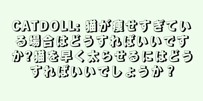 CATDOLL: 猫が痩せすぎている場合はどうすればいいですか?猫を早く太らせるにはどうすればいいでしょうか？