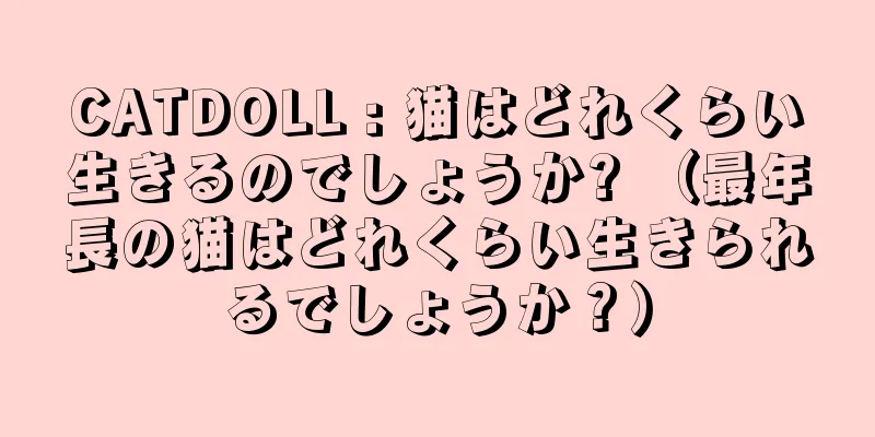 CATDOLL : 猫はどれくらい生きるのでしょうか? （最年長の猫はどれくらい生きられるでしょうか？）