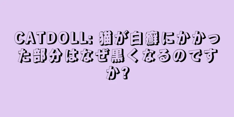 CATDOLL: 猫が白癬にかかった部分はなぜ黒くなるのですか?
