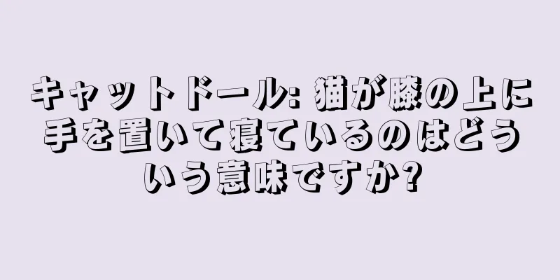 キャットドール: 猫が膝の上に手を置いて寝ているのはどういう意味ですか?