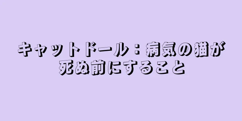 キャットドール：病気の猫が死ぬ前にすること