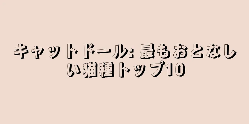 キャットドール: 最もおとなしい猫種トップ10