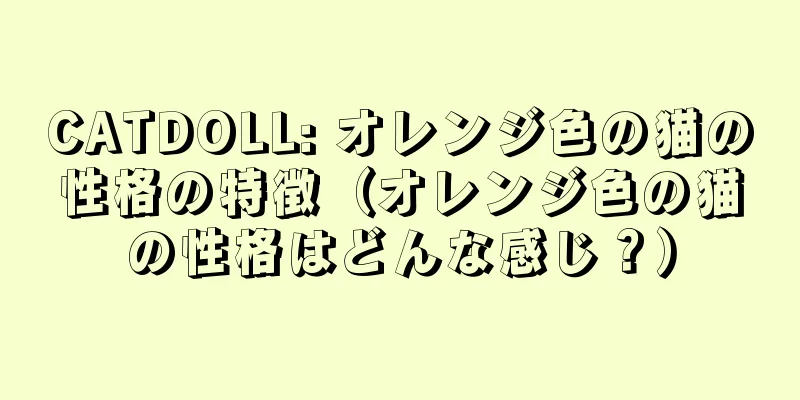 CATDOLL: オレンジ色の猫の性格の特徴（オレンジ色の猫の性格はどんな感じ？）