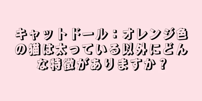 キャットドール：オレンジ色の猫は太っている以外にどんな特徴がありますか？