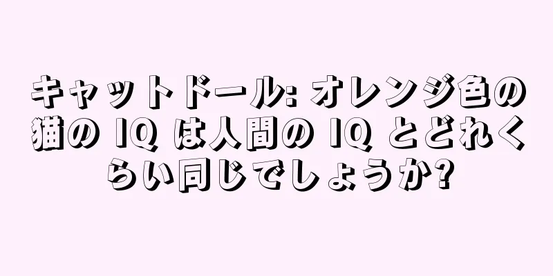 キャットドール: オレンジ色の猫の IQ は人間の IQ とどれくらい同じでしょうか?