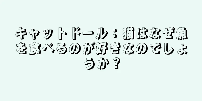キャットドール：猫はなぜ魚を食べるのが好きなのでしょうか？