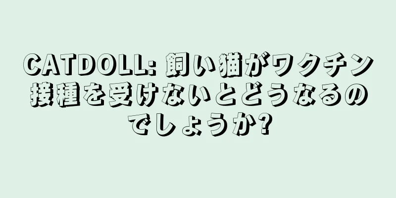 CATDOLL: 飼い猫がワクチン接種を受けないとどうなるのでしょうか?