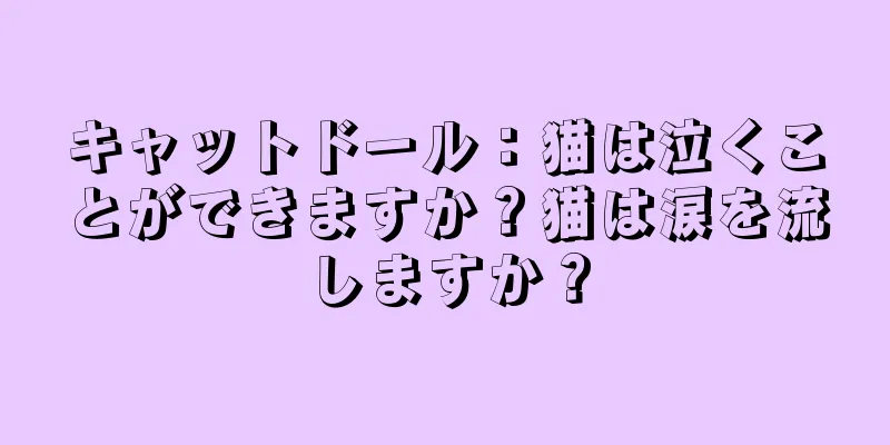 キャットドール：猫は泣くことができますか？猫は涙を流しますか？