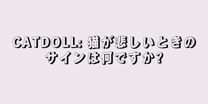 CATDOLL: 猫が悲しいときのサインは何ですか?