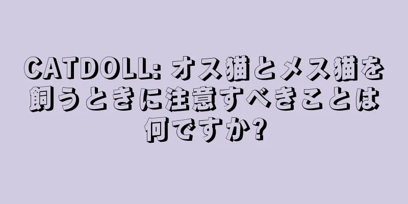 CATDOLL: オス猫とメス猫を飼うときに注意すべきことは何ですか?