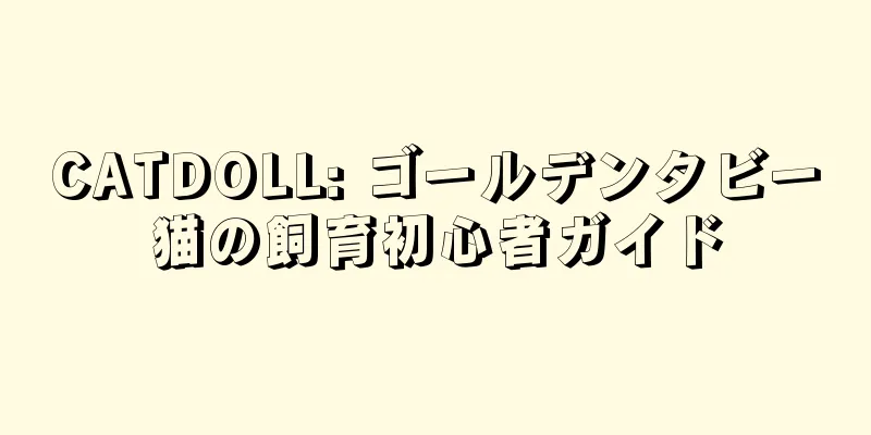 CATDOLL: ゴールデンタビー猫の飼育初心者ガイド