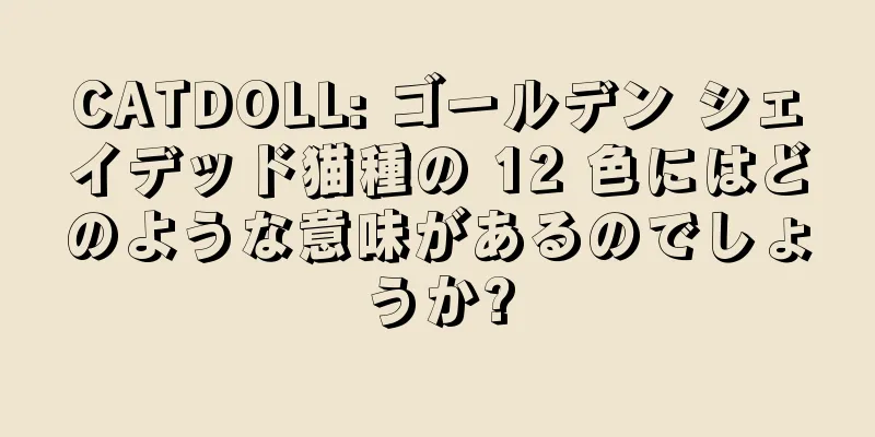 CATDOLL: ゴールデン シェイデッド猫種の 12 色にはどのような意味があるのでしょうか?