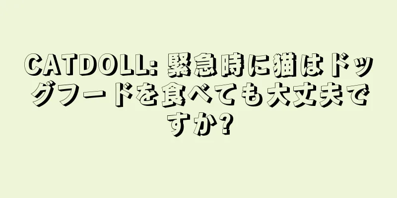 CATDOLL: 緊急時に猫はドッグフードを食べても大丈夫ですか?