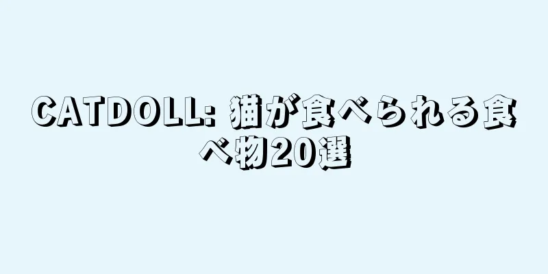CATDOLL: 猫が食べられる食べ物20選