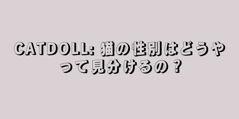 CATDOLL: 猫の性別はどうやって見分けるの？