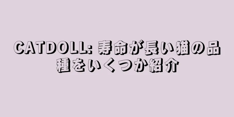 CATDOLL: 寿命が長い猫の品種をいくつか紹介