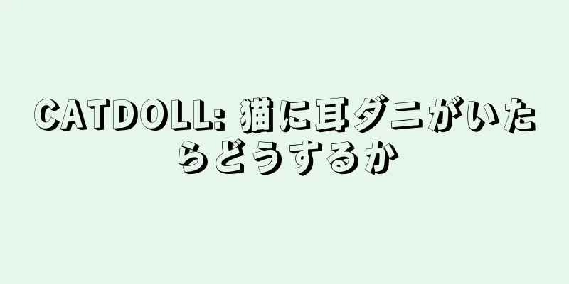 CATDOLL: 猫に耳ダニがいたらどうするか