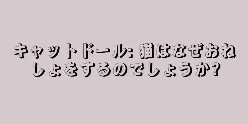 キャットドール: 猫はなぜおねしょをするのでしょうか?