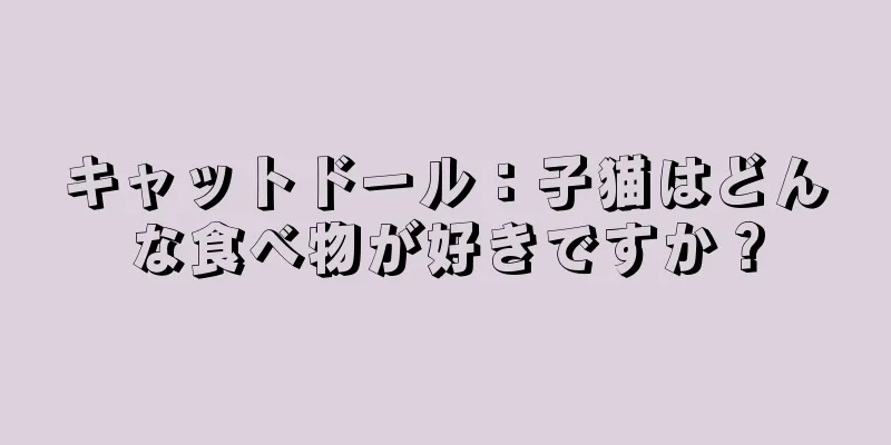 キャットドール：子猫はどんな食べ物が好きですか？