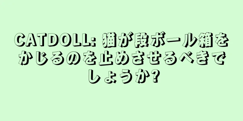 CATDOLL: 猫が段ボール箱をかじるのを止めさせるべきでしょうか?