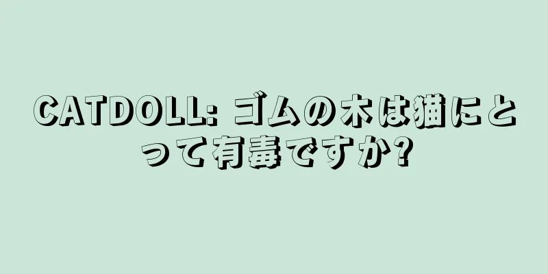 CATDOLL: ゴムの木は猫にとって有毒ですか?