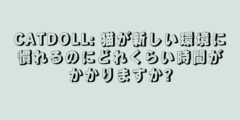 CATDOLL: 猫が新しい環境に慣れるのにどれくらい時間がかかりますか?