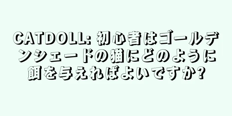 CATDOLL: 初心者はゴールデンシェードの猫にどのように餌を与えればよいですか?