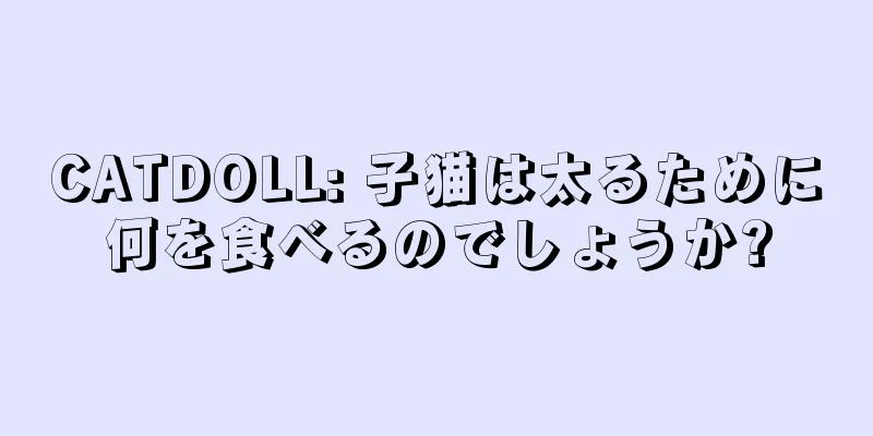CATDOLL: 子猫は太るために何を食べるのでしょうか?