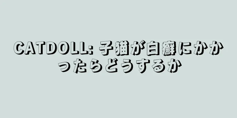 CATDOLL: 子猫が白癬にかかったらどうするか