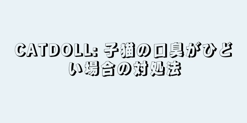 CATDOLL: 子猫の口臭がひどい場合の対処法