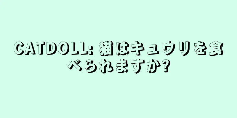 CATDOLL: 猫はキュウリを食べられますか?