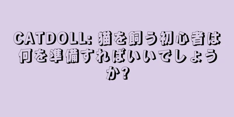 CATDOLL: 猫を飼う初心者は何を準備すればいいでしょうか?