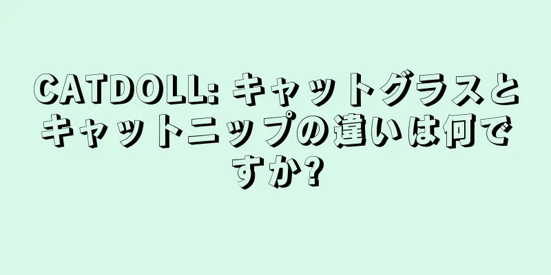 CATDOLL: キャットグラスとキャットニップの違いは何ですか?